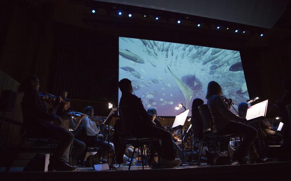Blue Planet live in concert at Royal Festival Hall (2015)